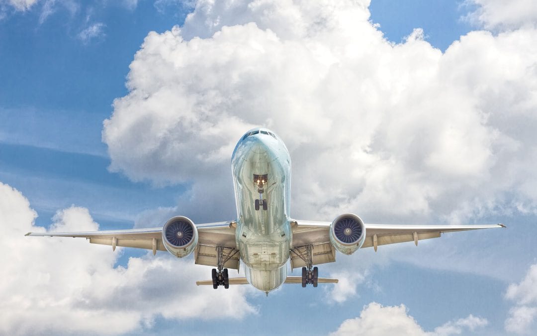 A Career in Flight