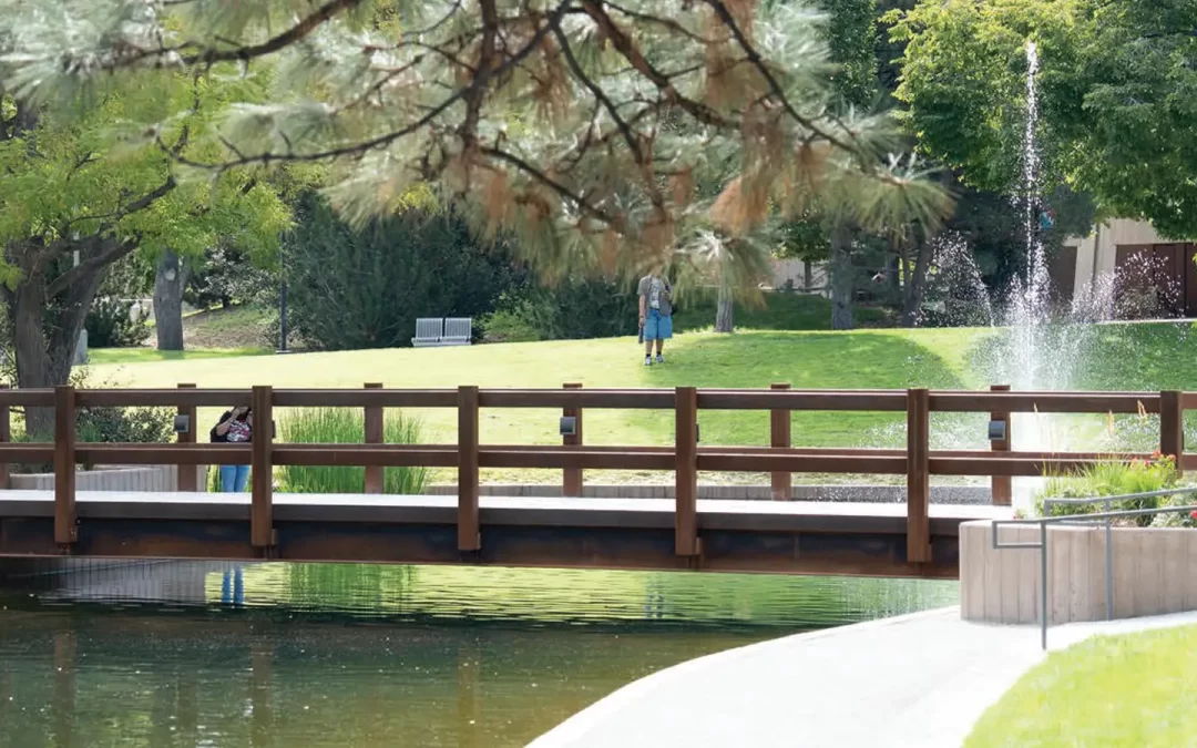 Renewing a Lobo Tradition: UNM’s Historic Duck Pond Reopens