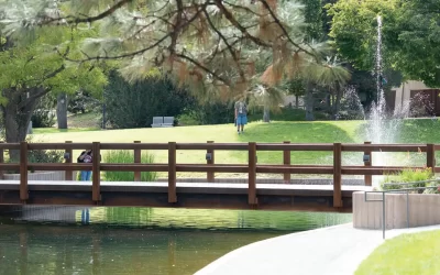 Renewing a Lobo Tradition: UNM’s Historic Duck Pond Reopens