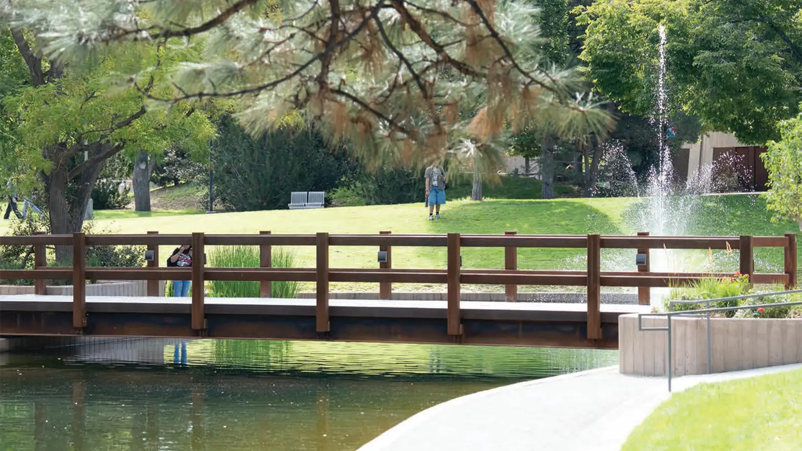 Newly reopened duck pond