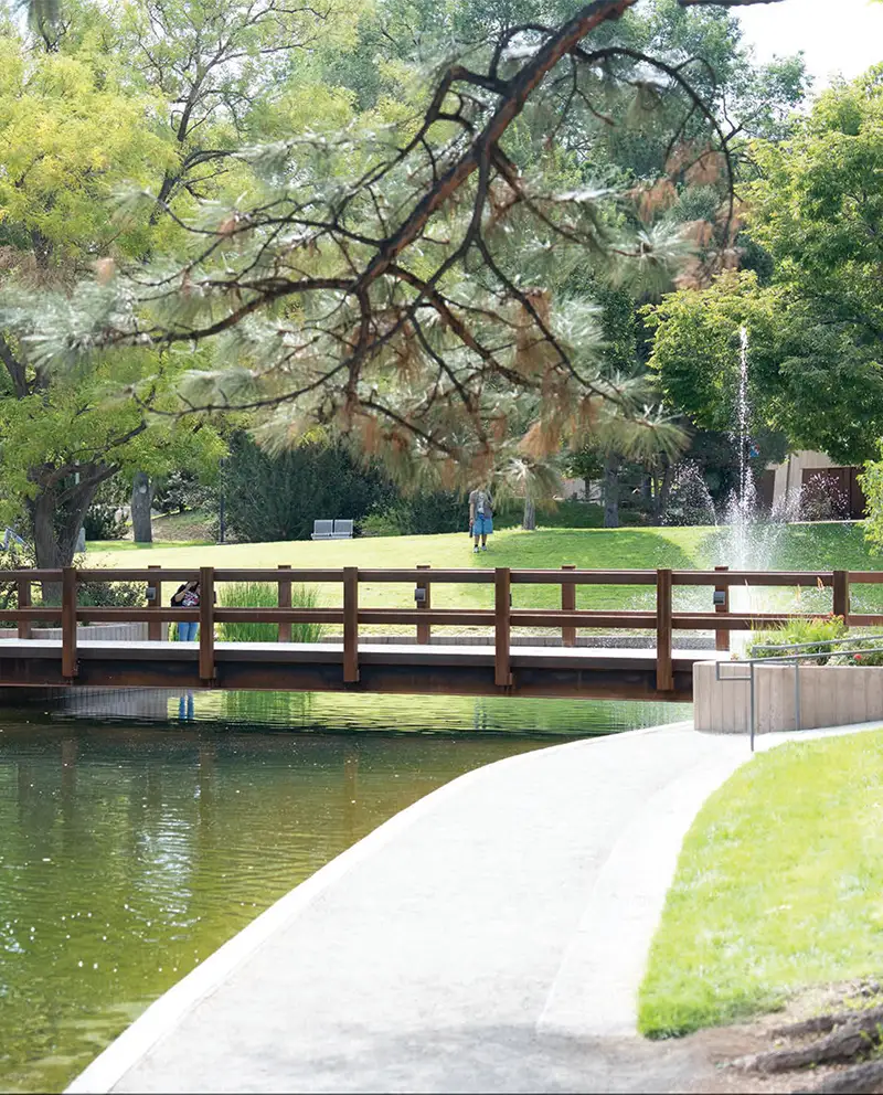 Photo of the newly reopened Duck Pond