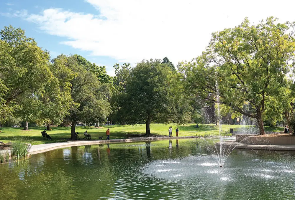 Spectacular view of one of the fountains after the Duck Pond renovation.