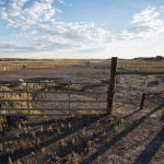 UNM Center for Fire Resilience Making a Difference Across New Mexico