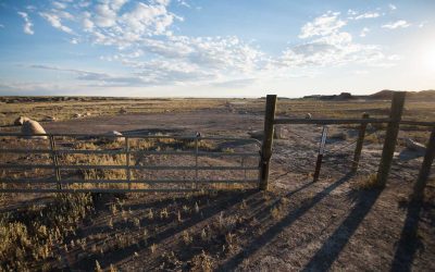 UNM Center for Fire Resilience Making a Difference Across New Mexico