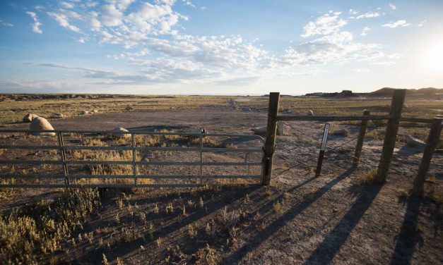UNM Center for Fire Resilience Making a Difference Across New Mexico