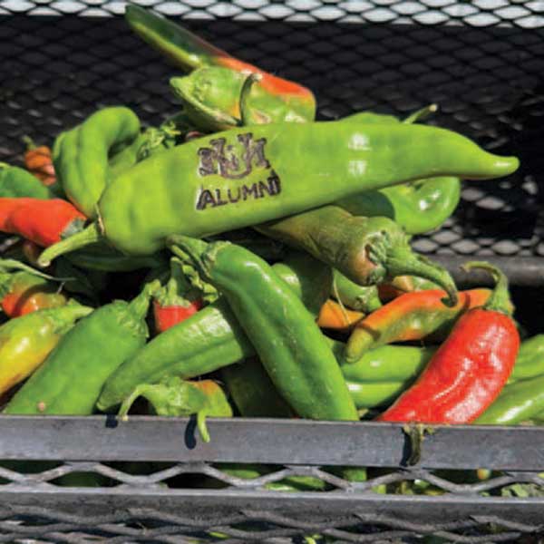 UNM Alumni logo burned on a green chile